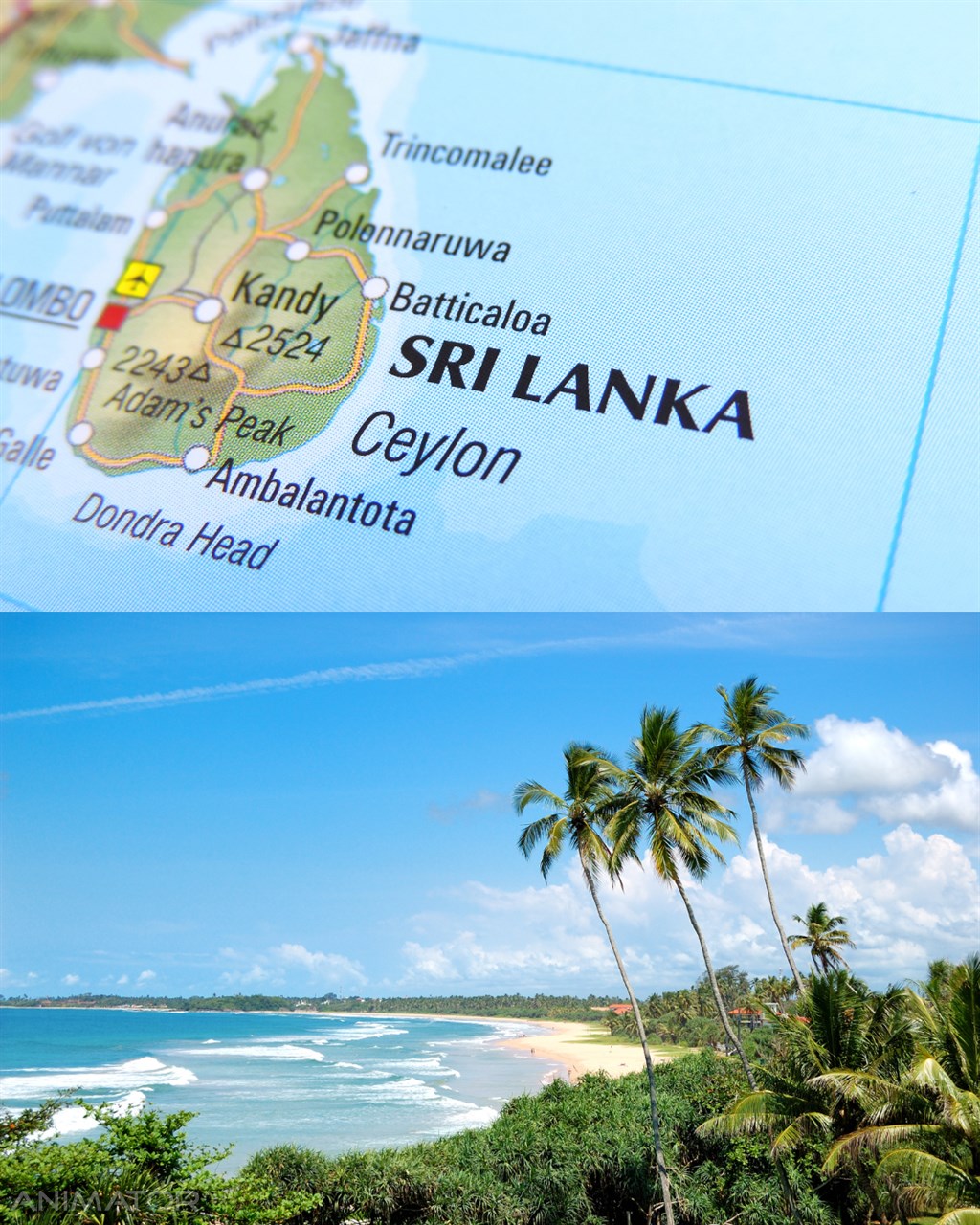 Sri Lanka - Ciało w Harmonii 